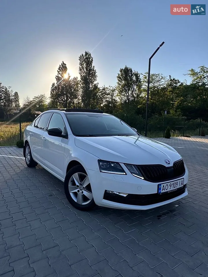 2019 Skoda Octavia - фото 1