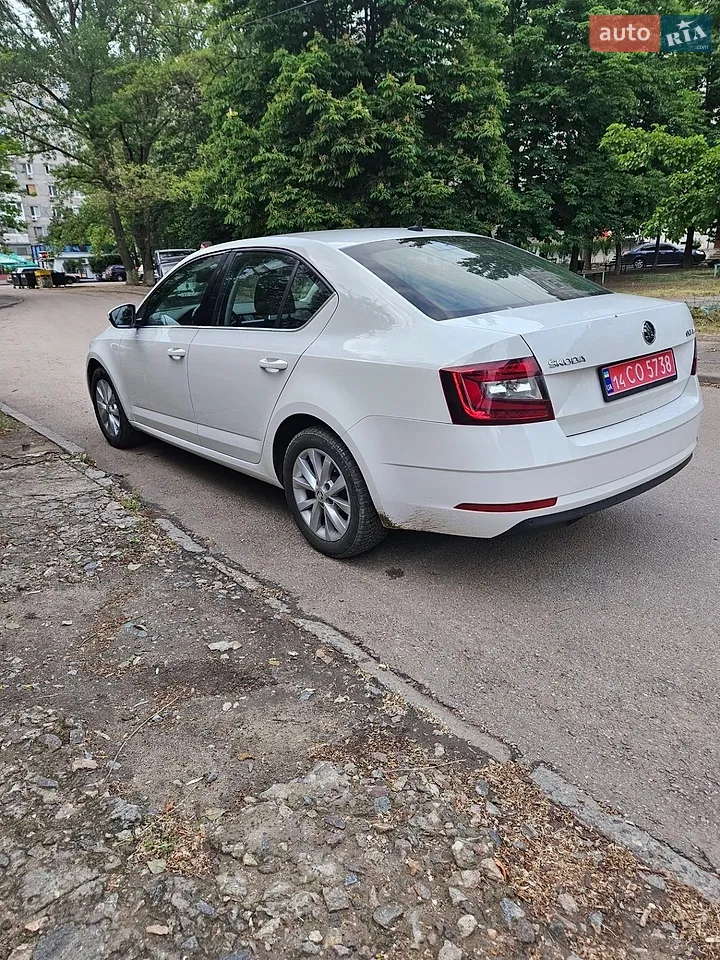 2017 Skoda Octavia - мініатюра 4