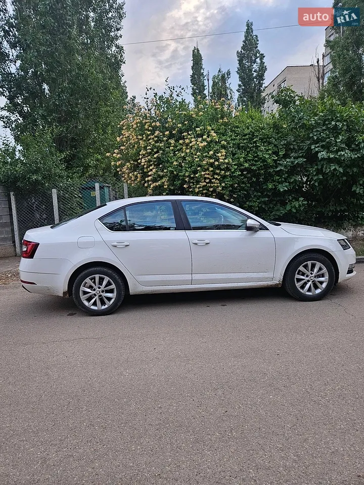 2017 Skoda Octavia - мініатюра 3