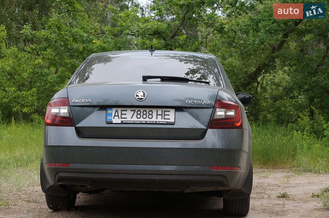 2020 Skoda Octavia - мініатюра 4