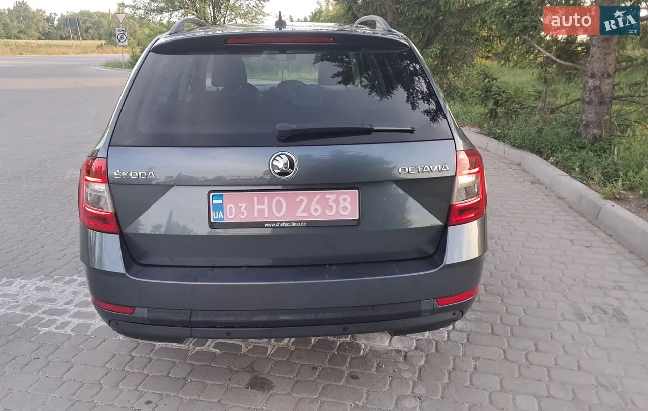 2019 Skoda Octavia - мініатюра 5