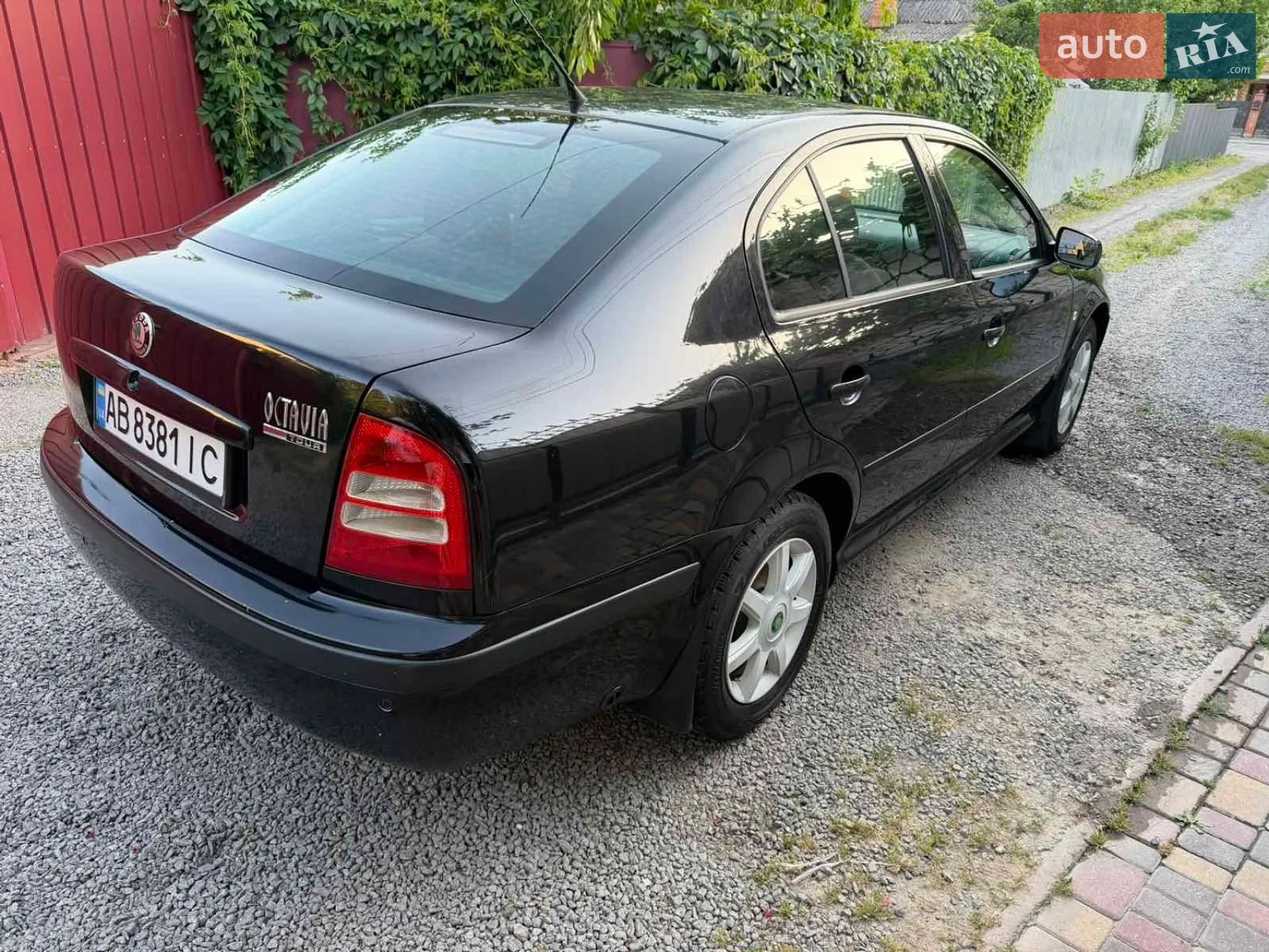 Skoda Octavia 2005 VIN TMBDX41U768852488 фото оголошення 15 з 45