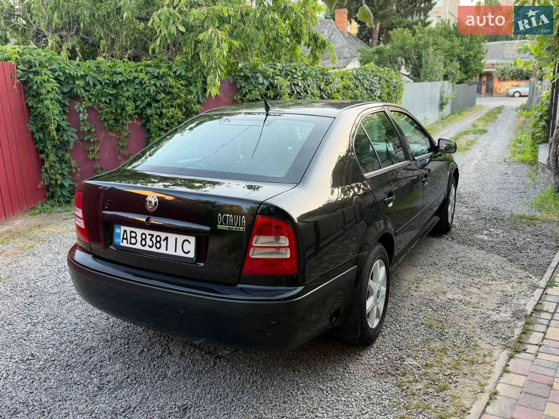 Skoda Octavia 2005 VIN TMBDX41U768852488 фото оголошення 19 з 45