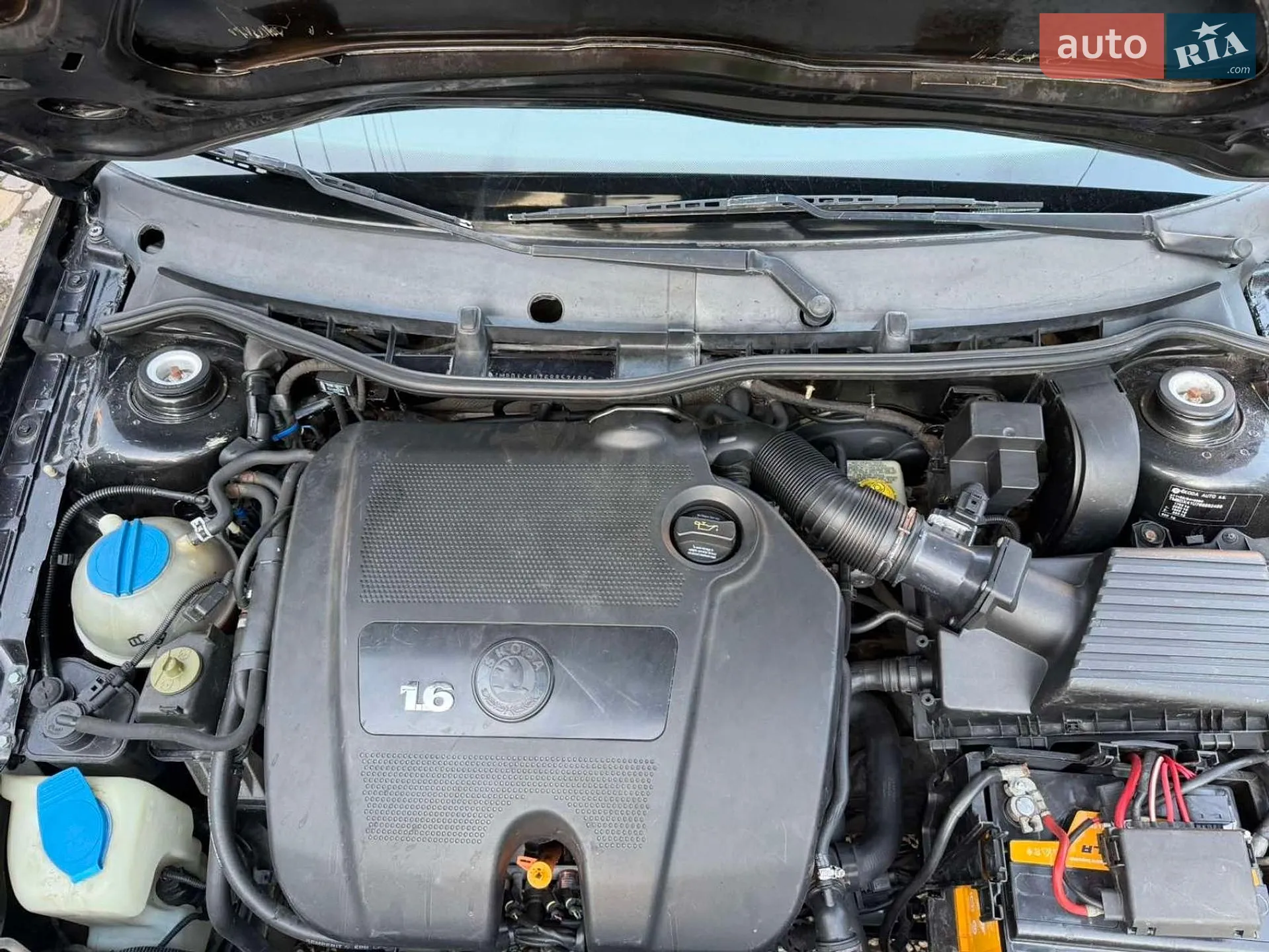 Skoda Octavia 2005 VIN TMBDX41U768852488 фото оголошення 27 з 45