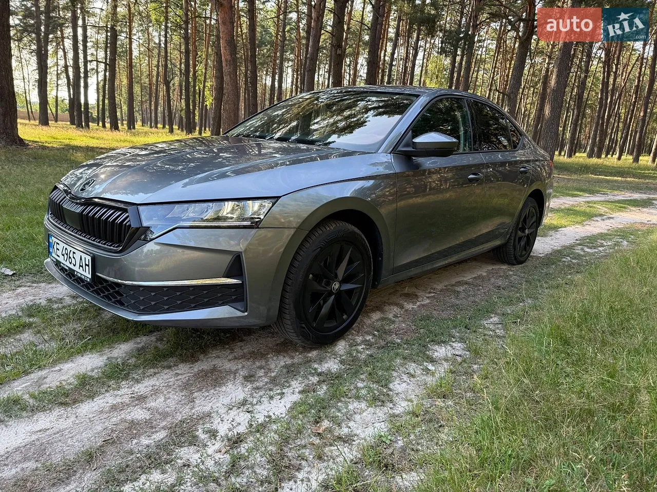 2024 Skoda Octavia - фото 1