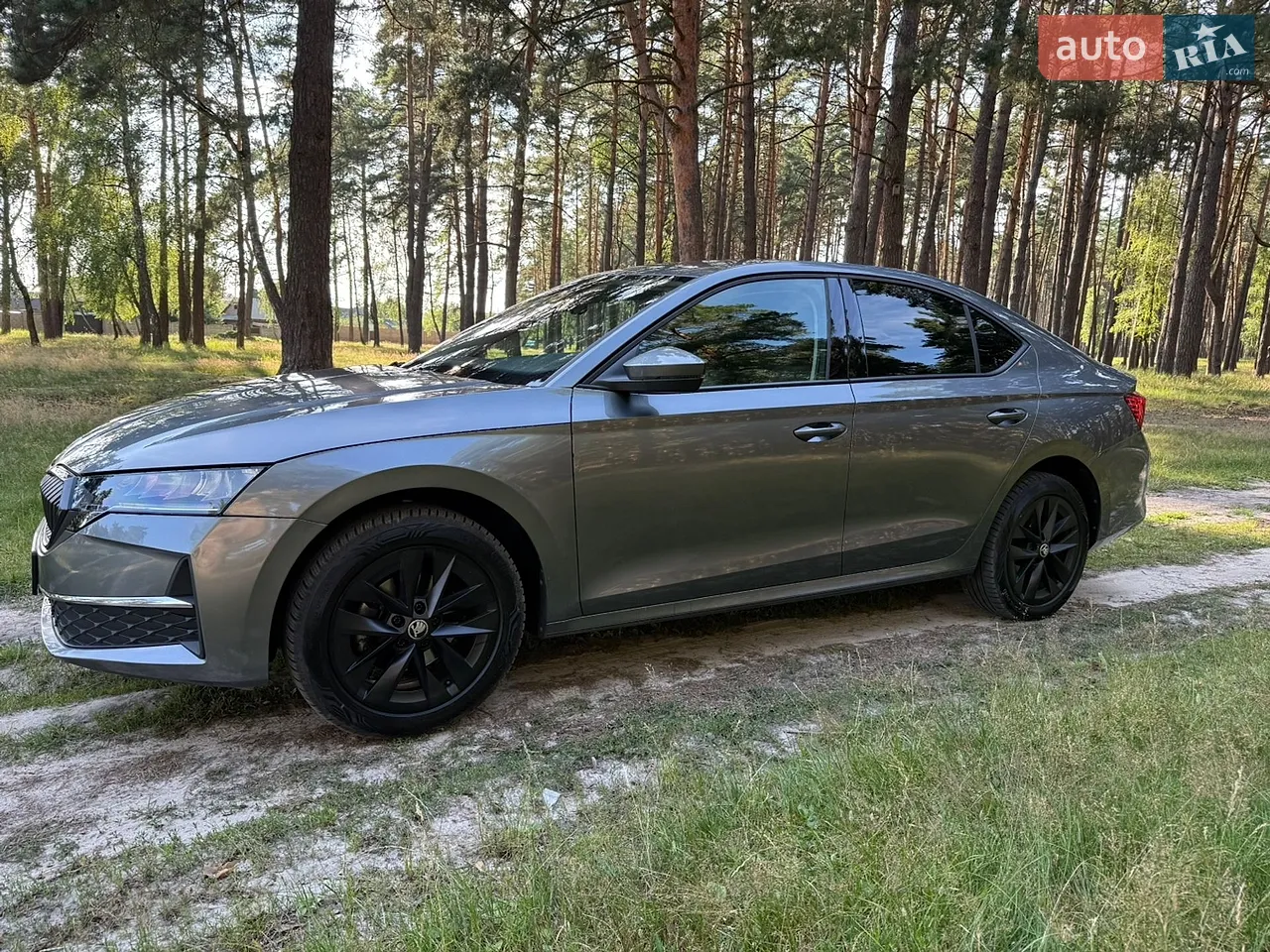 2024 Skoda Octavia - мініатюра 3