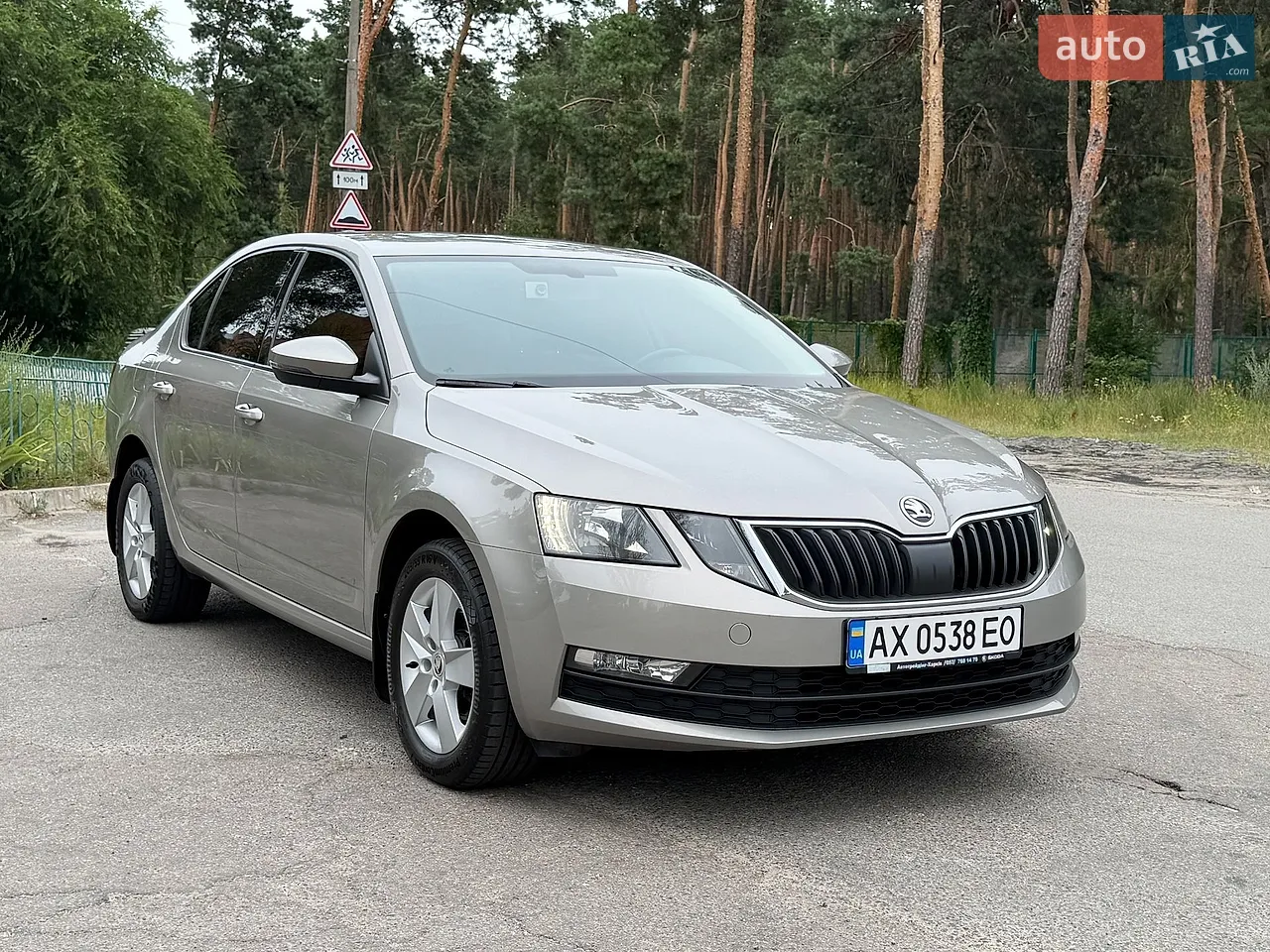 2018 Skoda Octavia - мініатюра 4