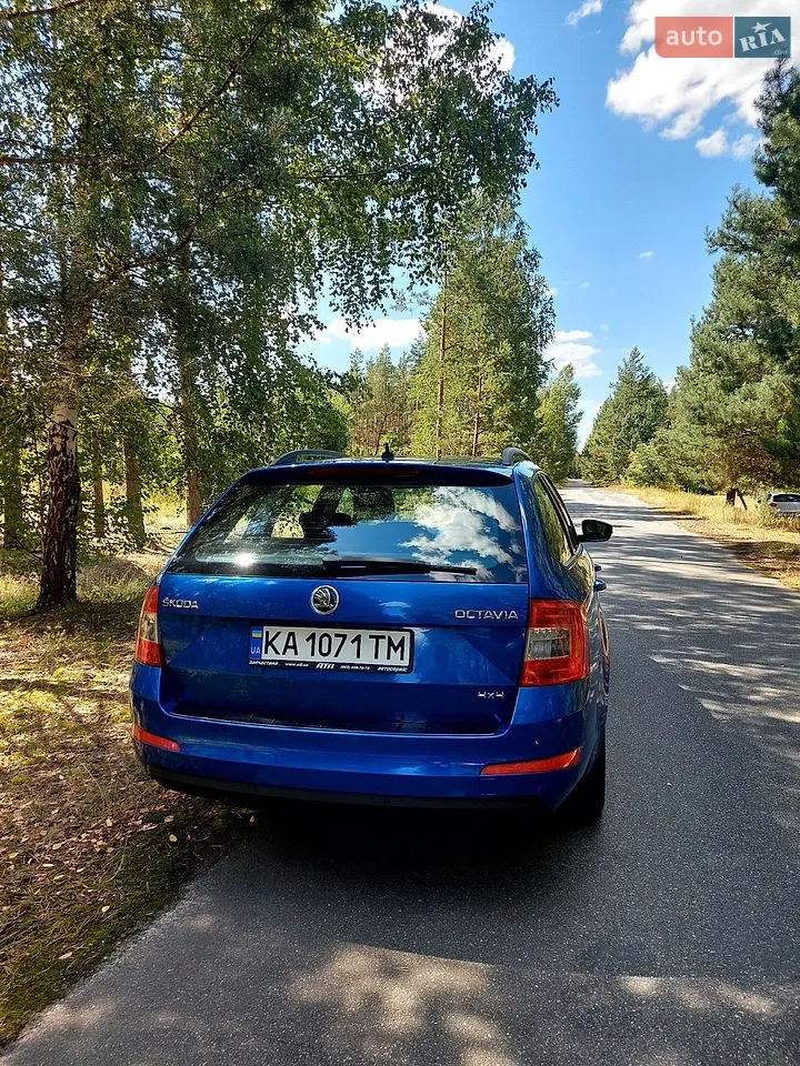 2016 Skoda Octavia - мініатюра 3