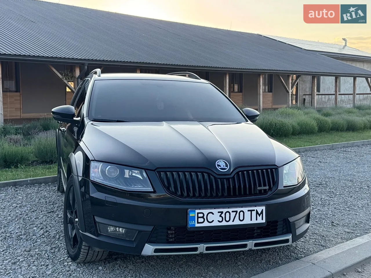 2014 Skoda Octavia - фото 1