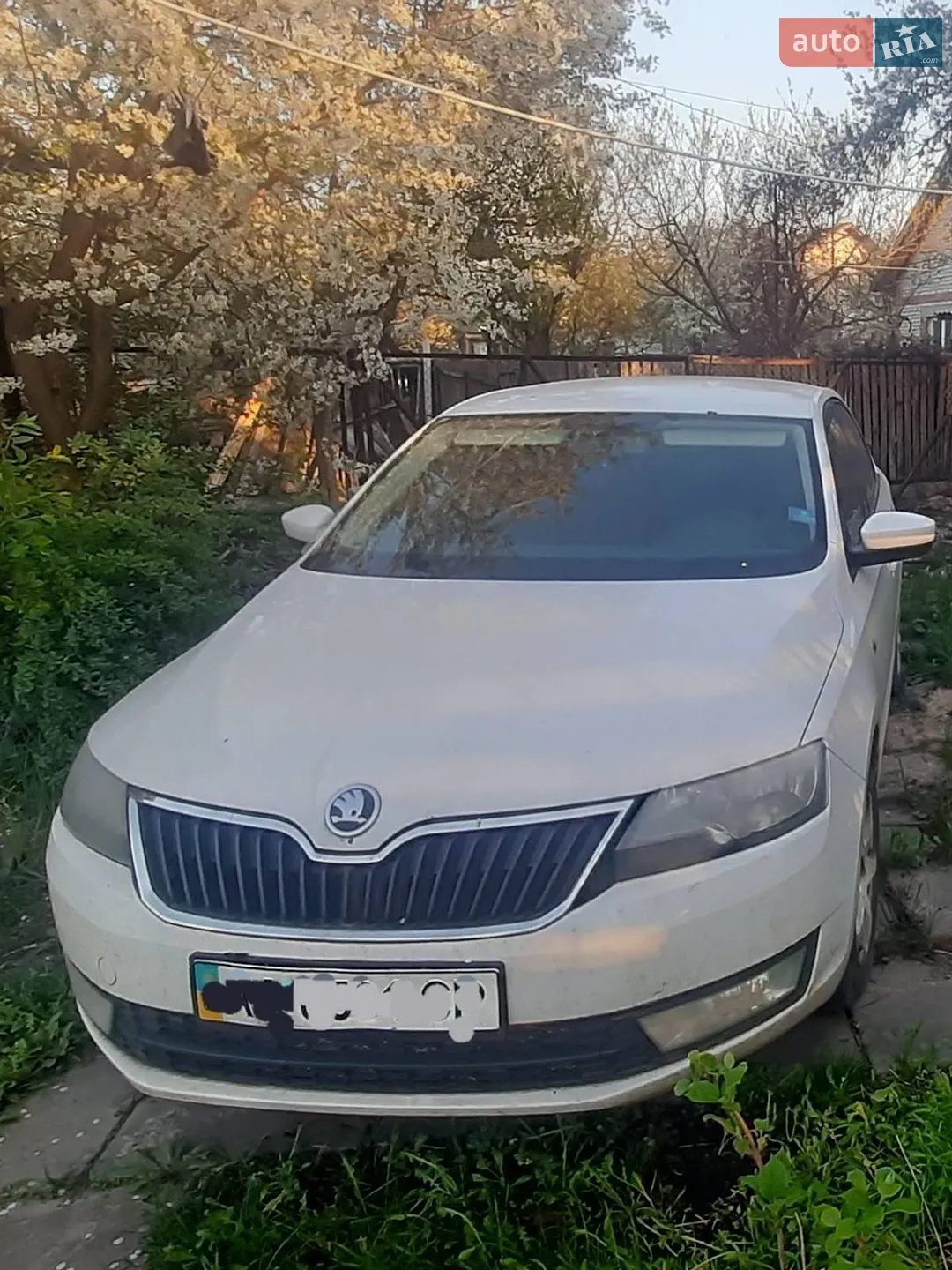 Skoda Rapid 2013 VIN TMBAD2NH8DB101641 фото оголошення 3 з 8