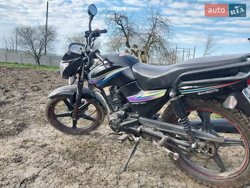 SkyMoto Bird X3 2015