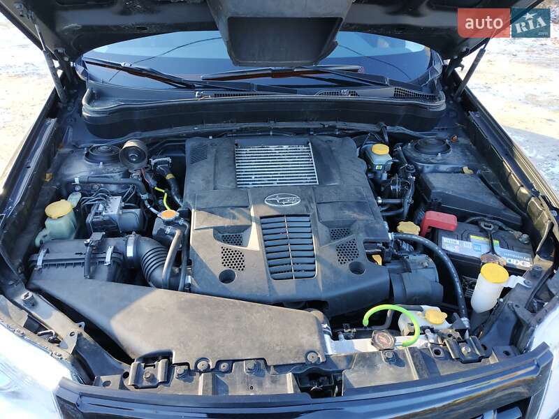Внедорожник / Кроссовер Subaru Forester 2008 в Киеве