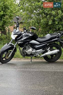 Suzuki Inazuma 250  2014