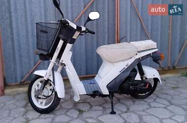 Suzuki Mollet  2011