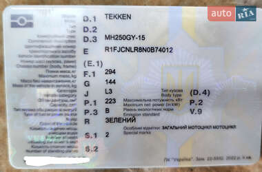 Мотоцикл Багатоцільовий (All-round) Tekken 250 2022 в Ковелі фото 2 Мотоцикл Багатоцільовий (All-round) Tekken 250 2022 в Ковелі