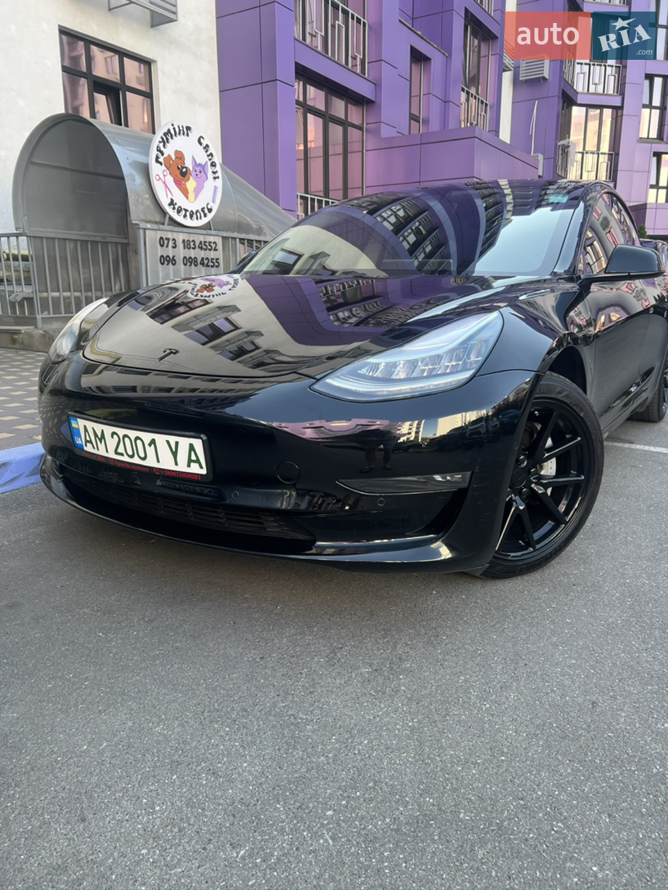 2019 Tesla Model 3 - мініатюра 2