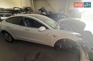 Tesla Model 3  2019