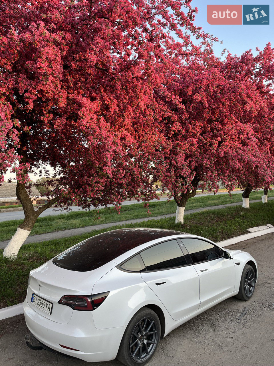 2021 Tesla Model 3 - мініатюра 2