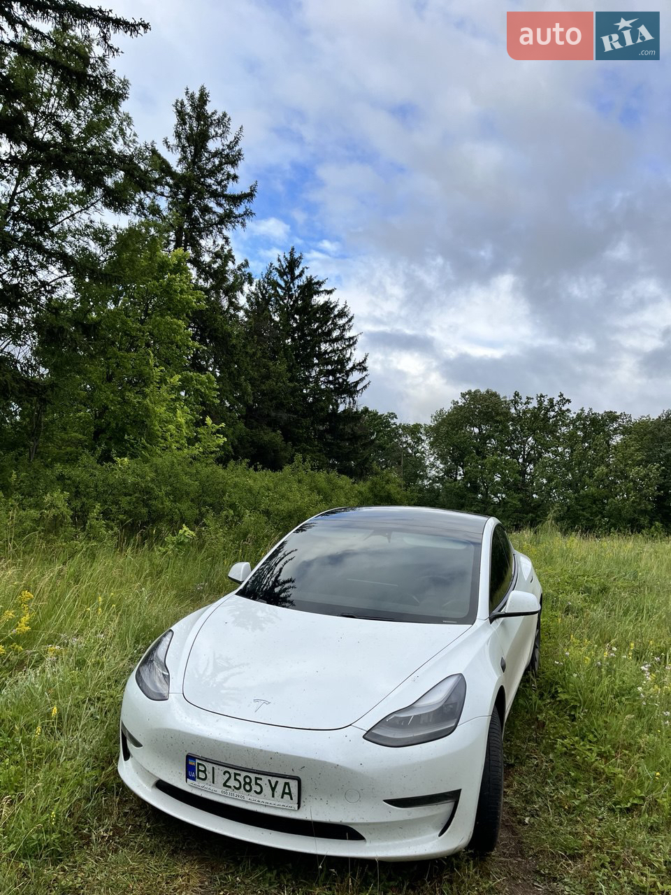 2021 Tesla Model 3 - мініатюра 3