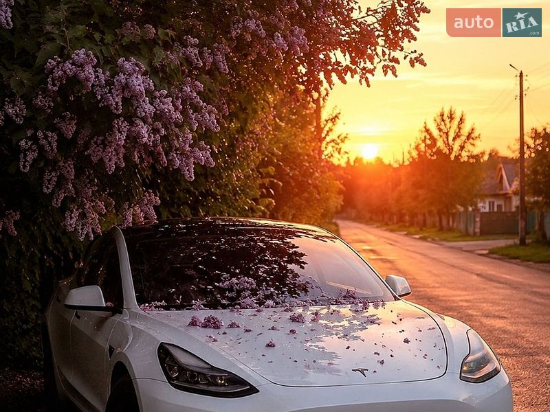 Tesla Model 3 2021