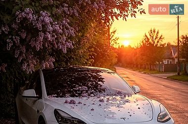 Tesla Model 3  2021