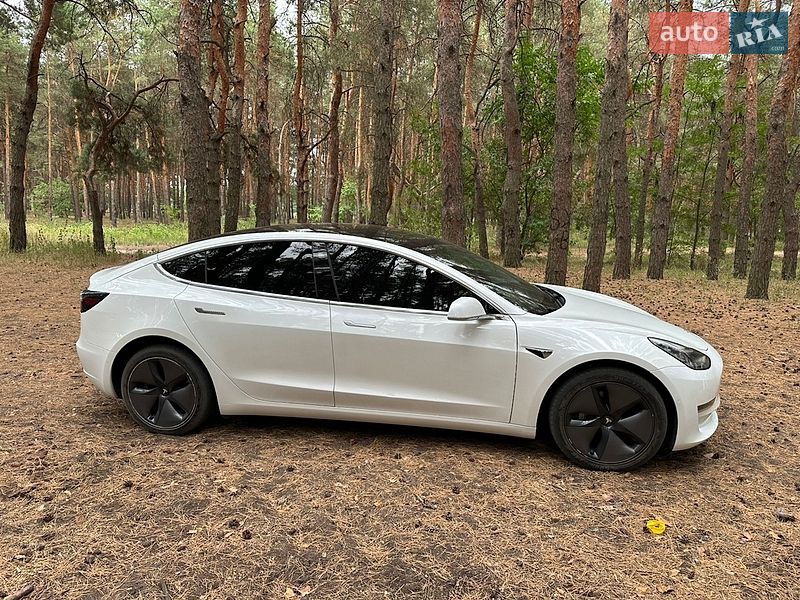 Седан Tesla Model 3 2019 в Кам'янському