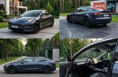 Tesla Model 3  2019