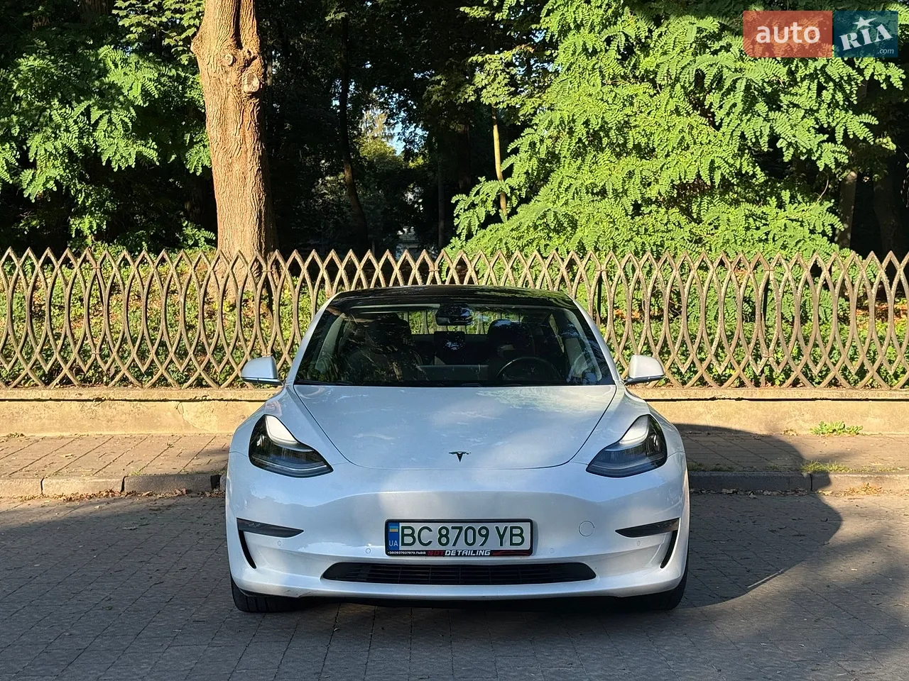 2019 Tesla Model 3 - мініатюра 2