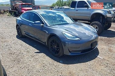 Tesla Model 3  2019
