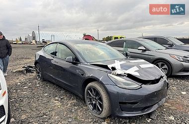 Tesla Model 3  2023