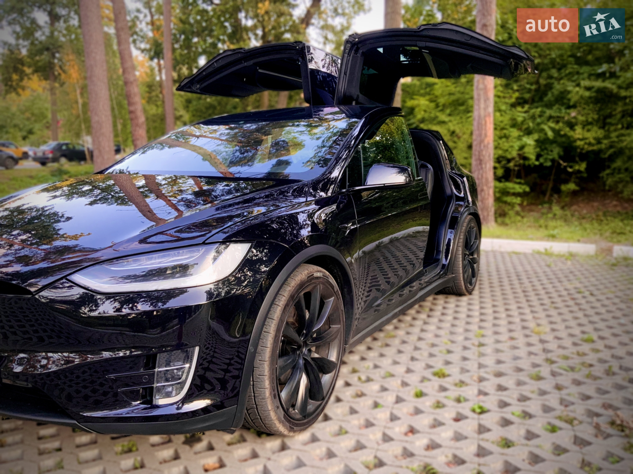 2017 Tesla Model X - мініатюра 5
