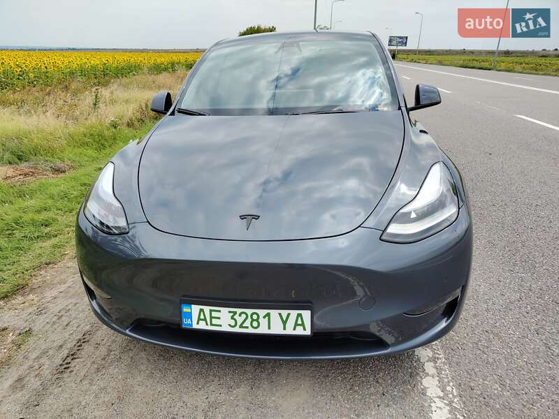Внедорожник / Кроссовер Tesla Model Y 2020 в Днепре