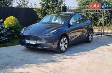 Tesla Model Y  2020
