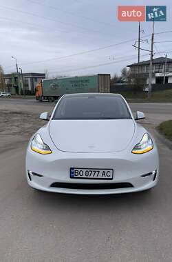 Tesla Model Y  2021