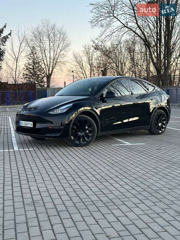 Внедорожник / Кроссовер Tesla Model Y 2021 в Тернополе