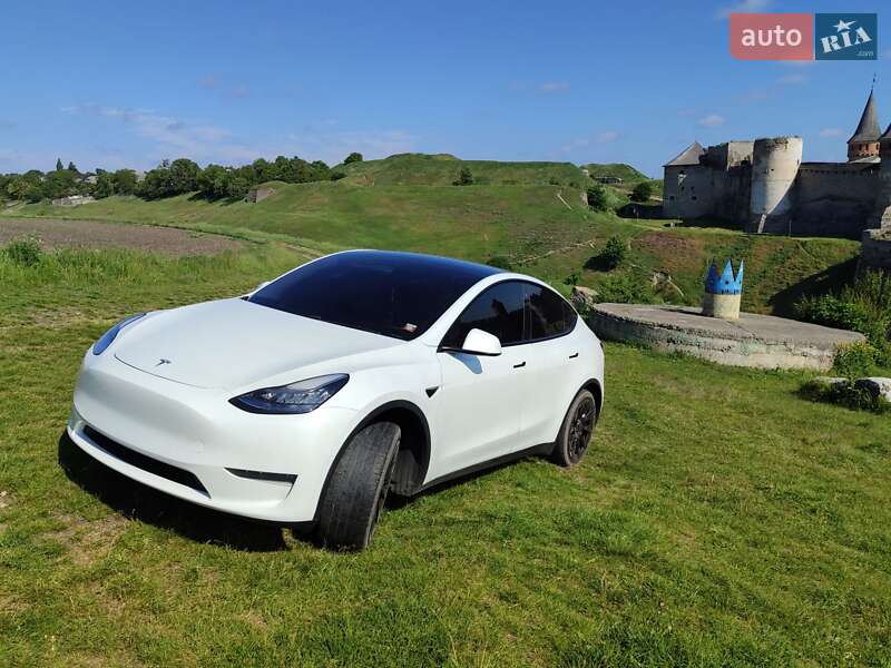 Позашляховик / Кросовер Tesla Model Y 2020 в Кам'янець-Подільському