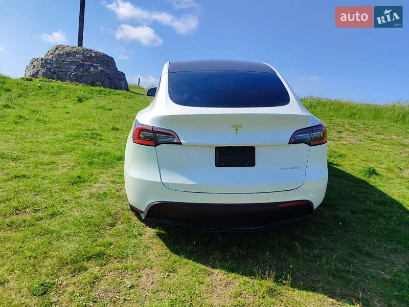 Позашляховик / Кросовер Tesla Model Y 2020 в Кам'янець-Подільському