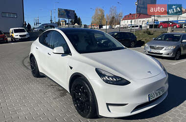 Tesla Model Y  2020