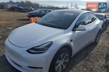 Tesla Model Y  2020