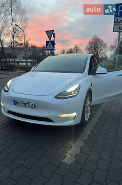 Tesla Model Y  2021