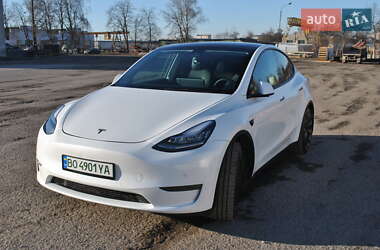 Tesla Model Y  2021