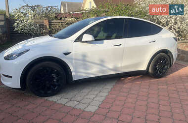 Tesla Model Y  2023