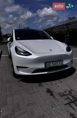 Tesla Model Y  2020