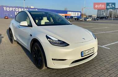 Tesla Model Y  2021