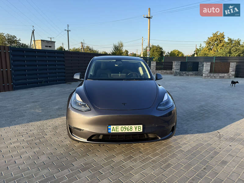 Внедорожник / Кроссовер Tesla Model Y 2023 в Днепре