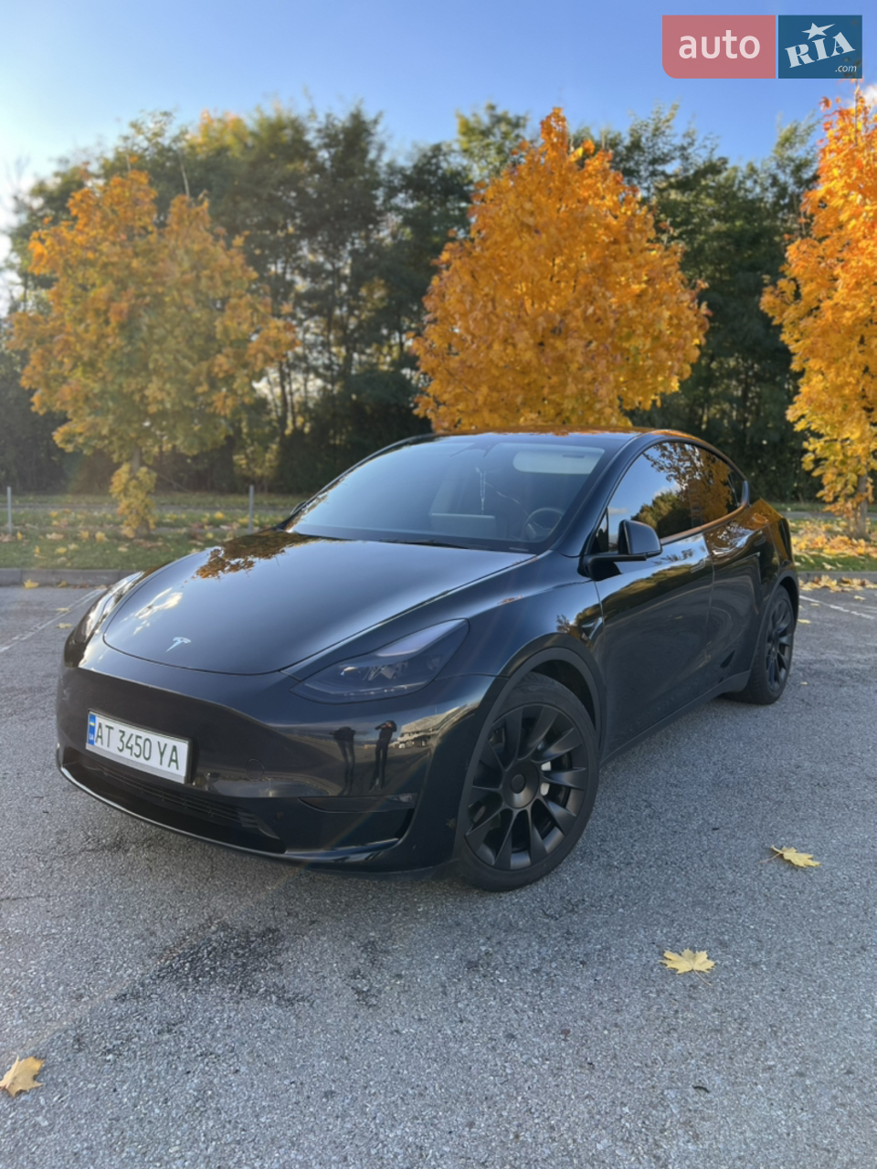 2023 Tesla Model Y - мініатюра 2