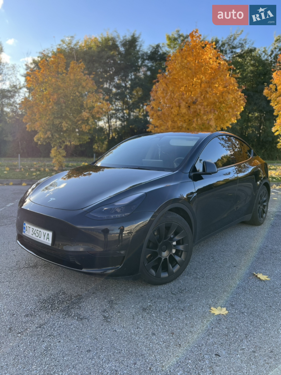 2023 Tesla Model Y - мініатюра 3