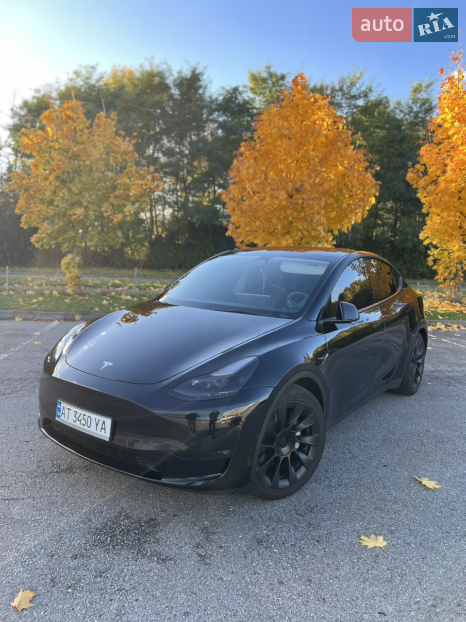 2023 Tesla Model Y - мініатюра 4