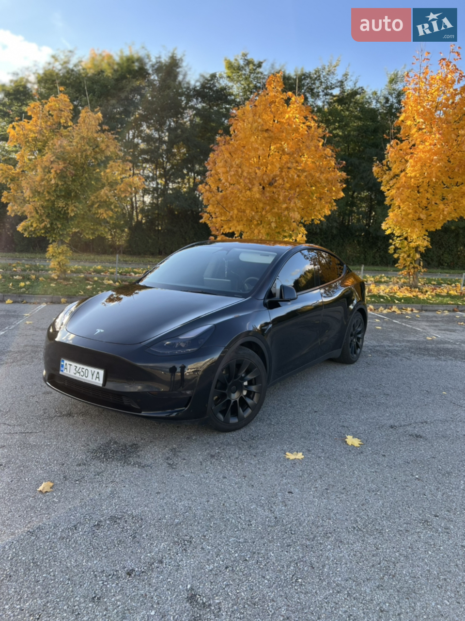 2023 Tesla Model Y - мініатюра 5