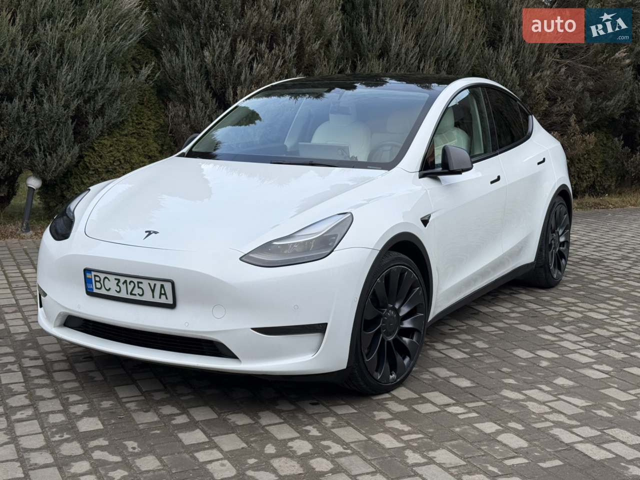2022 Tesla Model Y - мініатюра 2